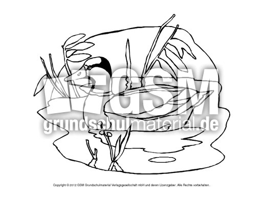 Ausmalbilder-Stockente 11.pdf